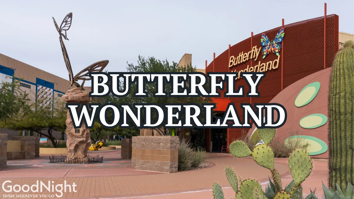 This exterior image features a large, whimsical butterfly sculpture at the entrance to Butterfly Wonderland, surrounded by cacti and a welcoming walkway. The entrance signage is prominent, and the scene radiates an inviting, family-friendly atmosphere ideal for photography and first-time visitors.