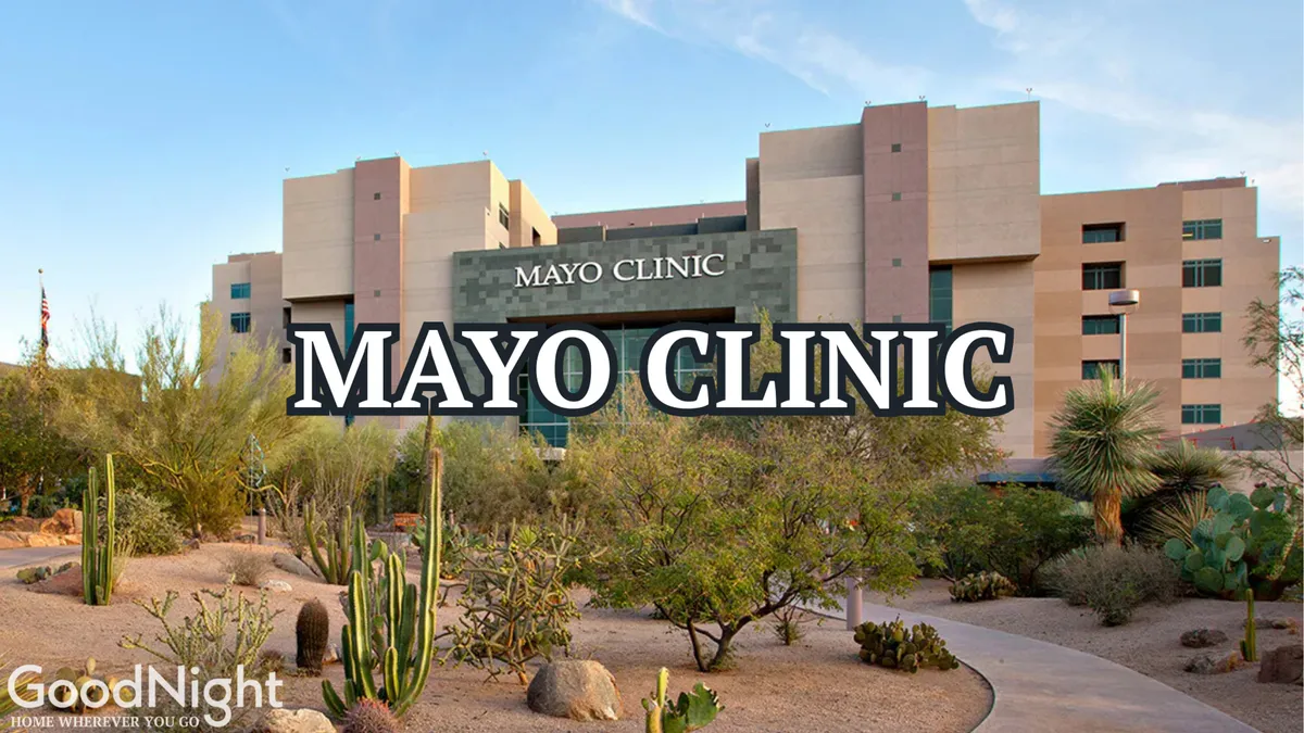 A professional exterior view of the Mayo Clinic building, framed by desert landscaping and distinctive cacti. The image captures the clean lines and modern appeal of the surrounding area.